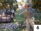 Trimming Cane